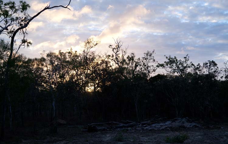 AUS QLD Mareeba 2010OCT17 004