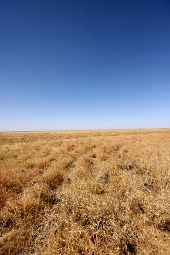 AUS QLD McKinlay 2009SEPT08 003