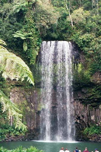 AUS QLD MillaaMillaaFalls 2001JUL17 001