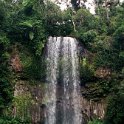 AUS QLD MillaaMillaaFalls 2001JUL17 003  The falls are the first of a series of three falls on what is known as "The Waterfalls Circuit". : 2001, 2001 The "Gruesome Twosome" Australian Tour, Australia, Date, July, Millaa Millaa Falls, Month, Places, QLD, Trips, Year