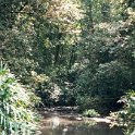 AUS QLD MillaaMillaaFalls 2001JUL17 004 : 2001, 2001 The "Gruesome Twosome" Australian Tour, Australia, Date, July, Millaa Millaa Falls, Month, Places, QLD, Trips, Year