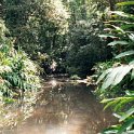 AUS QLD MillaaMillaaFalls 2001JUL17 005 : 2001, 2001 The "Gruesome Twosome" Australian Tour, Australia, Date, July, Millaa Millaa Falls, Month, Places, QLD, Trips, Year