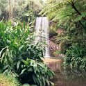 AUS_QLD_MillaaMillaaFalls_2001JUL17_006.jpg