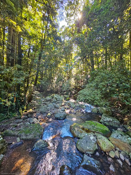 AUS QLD NaturalBridge 2024MAY13 013