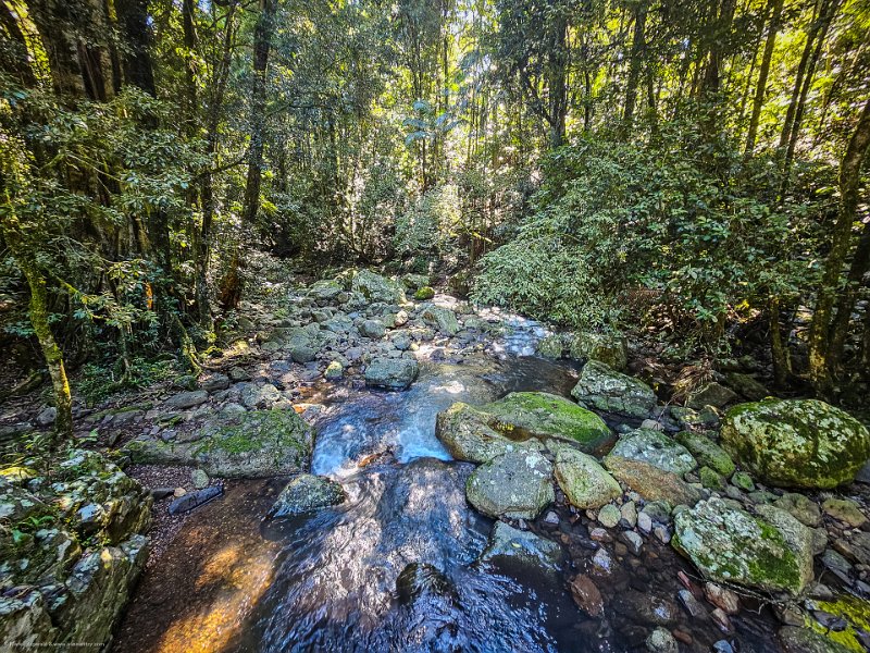 AUS QLD NaturalBridge 2024MAY13 014
