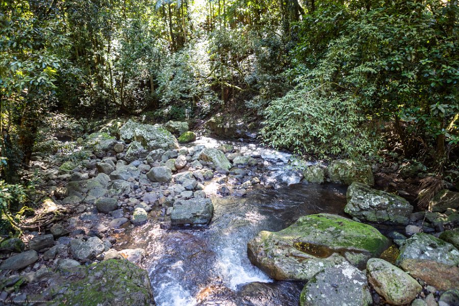 AUS QLD NaturalBridge 2024MAY13 015