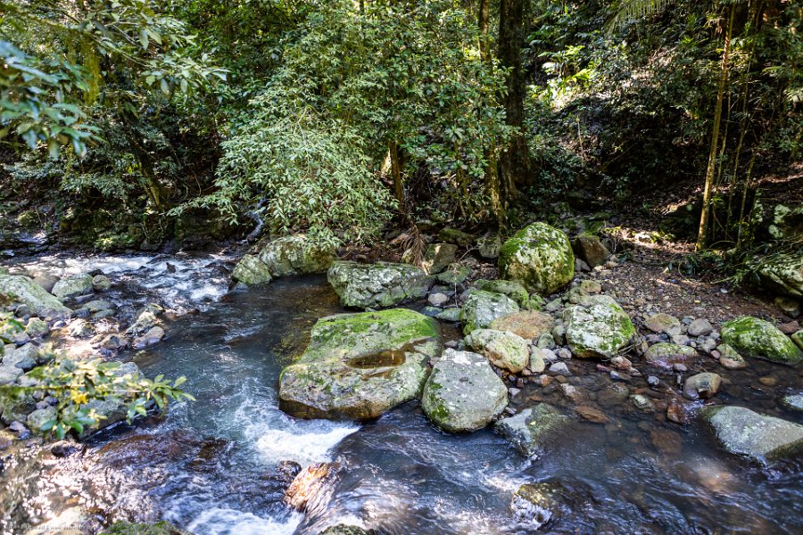 AUS QLD NaturalBridge 2024MAY13 016