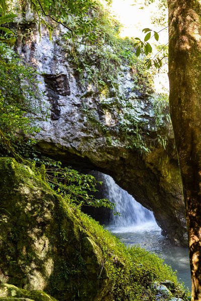 AUS QLD NaturalBridge 2024MAY13 019