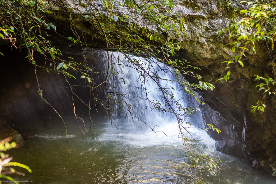 AUS QLD NaturalBridge 2024MAY13 021