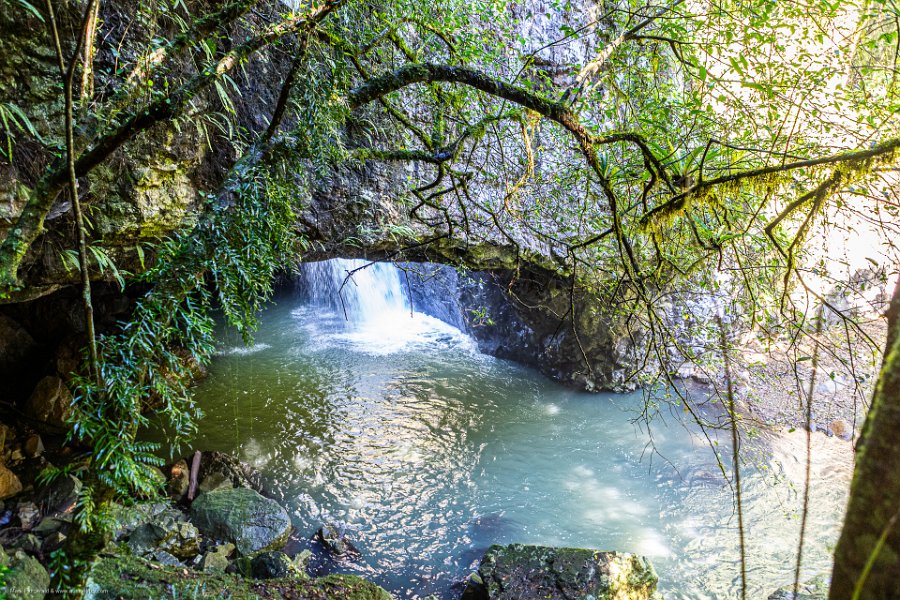 AUS QLD NaturalBridge 2024MAY13 022