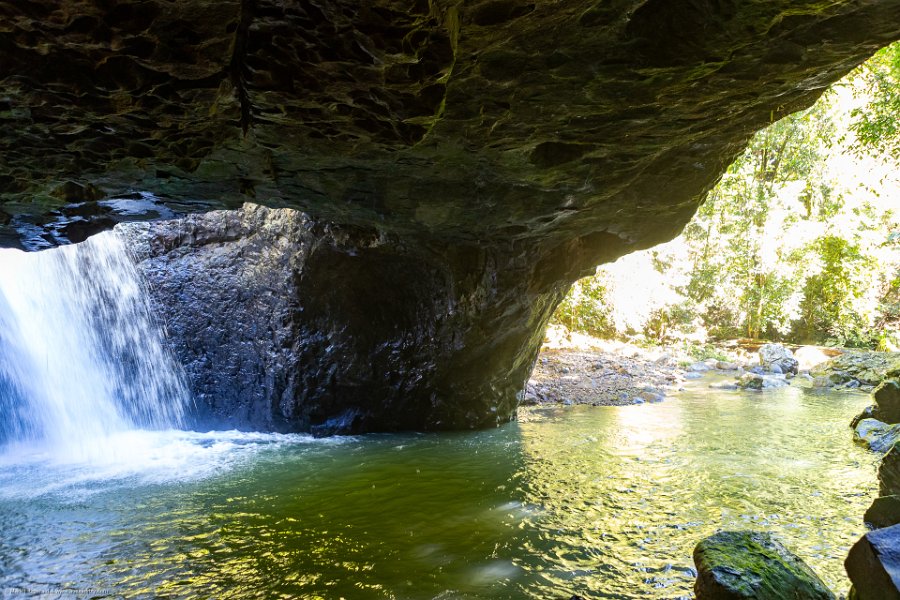 AUS QLD NaturalBridge 2024MAY13 026