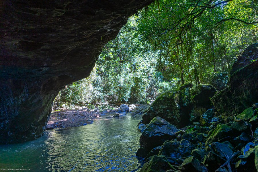 AUS QLD NaturalBridge 2024MAY13 028