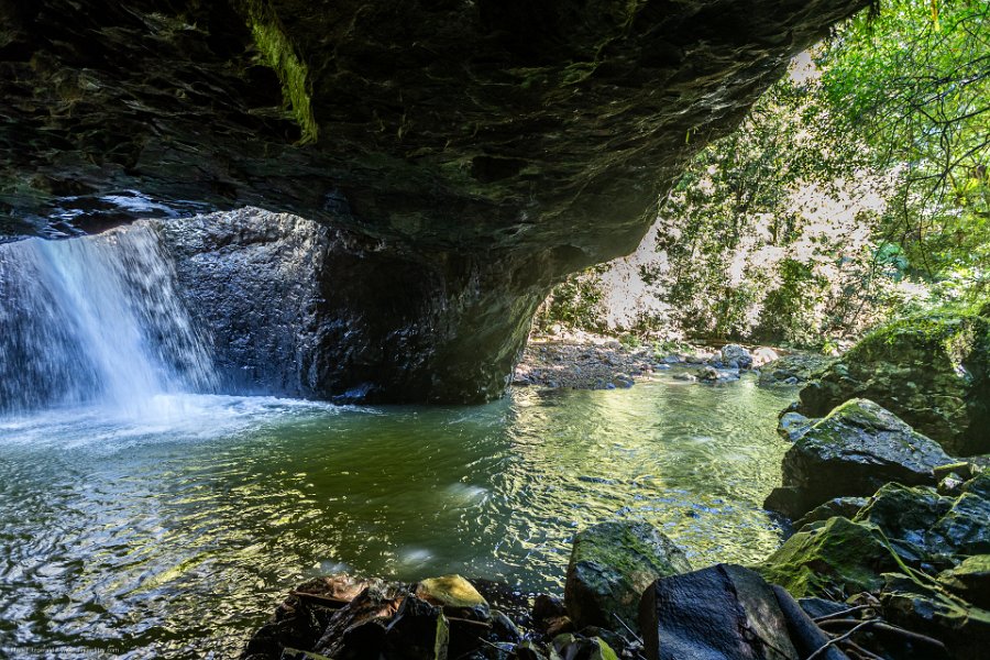 AUS QLD NaturalBridge 2024MAY13 029