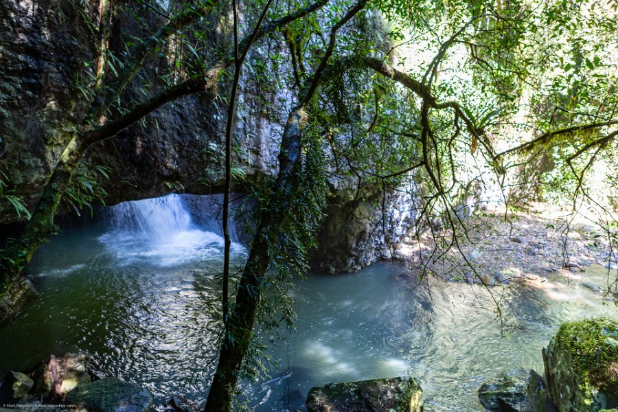 AUS QLD NaturalBridge 2024MAY13 033
