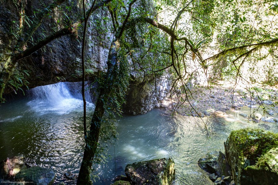 AUS QLD NaturalBridge 2024MAY13 034