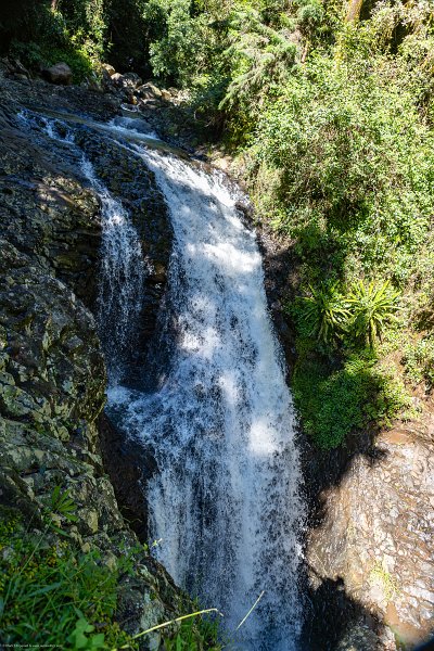 AUS QLD NaturalBridge 2024MAY13 035