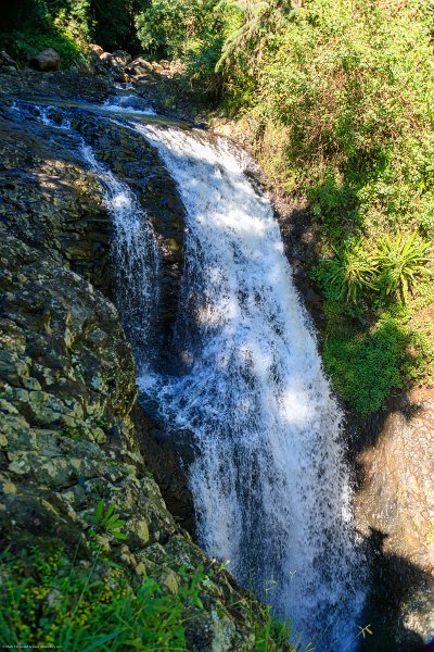 AUS QLD NaturalBridge 2024MAY13 036