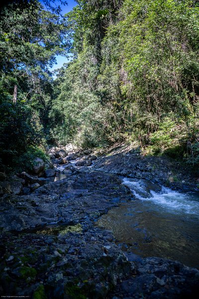 AUS QLD NaturalBridge 2024MAY13 038