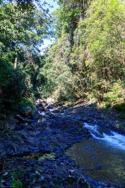 AUS QLD NaturalBridge 2024MAY13 039