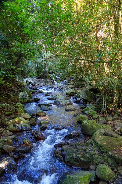 AUS QLD NaturalBridge 2024MAY13 041