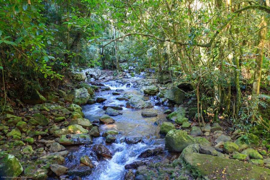 AUS QLD NaturalBridge 2024MAY13 042