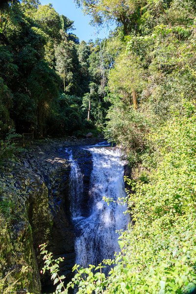 AUS QLD NaturalBridge 2024MAY13 044