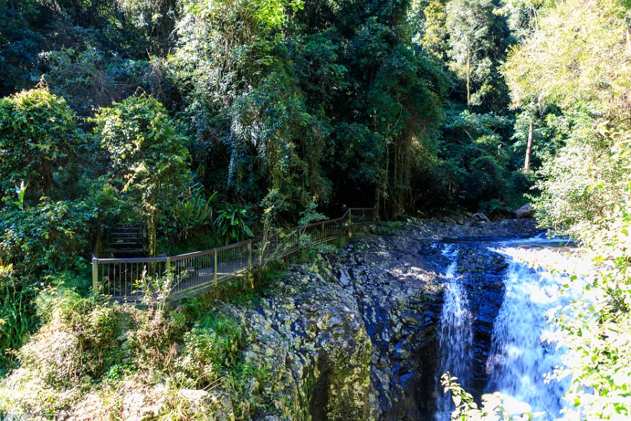 AUS QLD NaturalBridge 2024MAY13 045