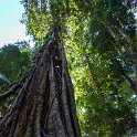 AUS QLD NaturalBridge 2024MAY13 002 : - DATE, - PLACES, 20's, 2024, Australia, Day, May, Monday, Month, Natural Bridge, QLD, Year