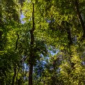 AUS QLD NaturalBridge 2024MAY13 003 : - DATE, - PLACES, 20's, 2024, Australia, Day, May, Monday, Month, Natural Bridge, QLD, Year