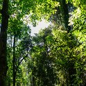 AUS QLD NaturalBridge 2024MAY13 004 : - DATE, - PLACES, 20's, 2024, Australia, Day, May, Monday, Month, Natural Bridge, QLD, Year