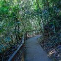 AUS QLD NaturalBridge 2024MAY13 008 : - DATE, - PLACES, 20's, 2024, Australia, Day, May, Monday, Month, Natural Bridge, QLD, Year