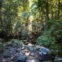 AUS QLD NaturalBridge 2024MAY13 011 : - DATE, - PLACES, 20's, 2024, Australia, Day, May, Monday, Month, Natural Bridge, QLD, Year