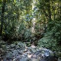 AUS QLD NaturalBridge 2024MAY13 012 : - DATE, - PLACES, 20's, 2024, Australia, Day, May, Monday, Month, Natural Bridge, QLD, Year