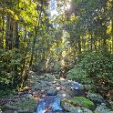 AUS QLD NaturalBridge 2024MAY13 013 : - DATE, - PLACES, 20's, 2024, Australia, Day, May, Monday, Month, Natural Bridge, QLD, Year