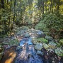AUS QLD NaturalBridge 2024MAY13 014 : - DATE, - PLACES, 20's, 2024, Australia, Day, May, Monday, Month, Natural Bridge, QLD, Year