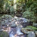 AUS QLD NaturalBridge 2024MAY13 015 : - DATE, - PLACES, 20's, 2024, Australia, Day, May, Monday, Month, Natural Bridge, QLD, Year