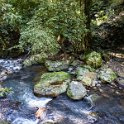 AUS QLD NaturalBridge 2024MAY13 016 : - DATE, - PLACES, 20's, 2024, Australia, Day, May, Monday, Month, Natural Bridge, QLD, Year