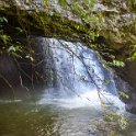 AUS QLD NaturalBridge 2024MAY13 021 : - DATE, - PLACES, 20's, 2024, Australia, Day, May, Monday, Month, Natural Bridge, QLD, Year