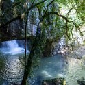 AUS QLD NaturalBridge 2024MAY13 033 : - DATE, - PLACES, 20's, 2024, Australia, Day, May, Monday, Month, Natural Bridge, QLD, Year