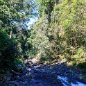 AUS QLD NaturalBridge 2024MAY13 039 : - DATE, - PLACES, 20's, 2024, Australia, Day, May, Monday, Month, Natural Bridge, QLD, Year