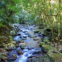 AUS QLD NaturalBridge 2024MAY13 042 : - DATE, - PLACES, 20's, 2024, Australia, Day, May, Monday, Month, Natural Bridge, QLD, Year