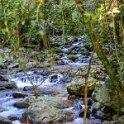 AUS QLD NaturalBridge 2024MAY13 043 : - DATE, - PLACES, 20's, 2024, Australia, Day, May, Monday, Month, Natural Bridge, QLD, Year