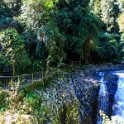 AUS QLD NaturalBridge 2024MAY13 045 : - DATE, - PLACES, 20's, 2024, Australia, Day, May, Monday, Month, Natural Bridge, QLD, Year