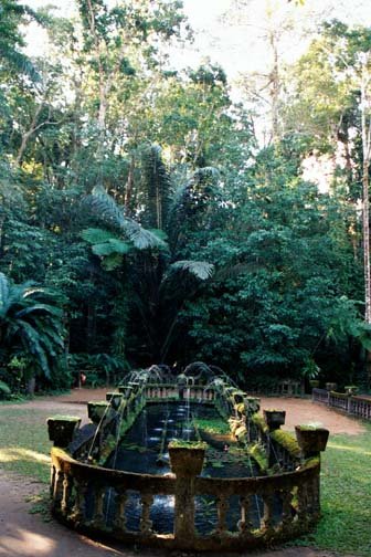 AUS QLD ParonellaPark 2001JUL17 003