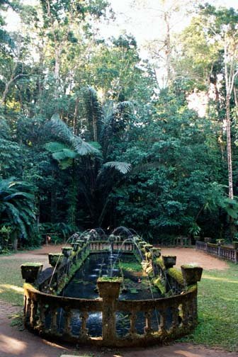 AUS QLD ParonellaPark 2001JUL17 004