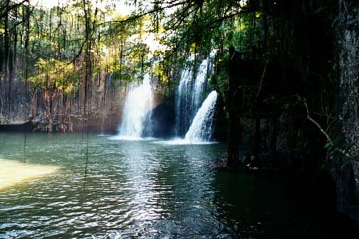 AUS QLD ParonellaPark 2001JUL17 009