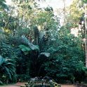 AUS QLD ParonellaPark 2001JUL17 003  José Paronella arrived in Australia from Catalonia in Spain, in 1913. : 2001, 2001 The "Gruesome Twosome" Australian Tour, Australia, Date, July, Month, Paronella Park, Places, QLD, Trips, Year