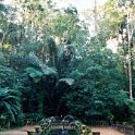 AUS QLD ParonellaPark 2001JUL17 004  For the next 11 years he worked, cutting sugar cane initially, then purchasing, improving, and reselling cane farms. : 2001, 2001 The "Gruesome Twosome" Australian Tour, Australia, Date, July, Month, Paronella Park, Places, QLD, Trips, Year
