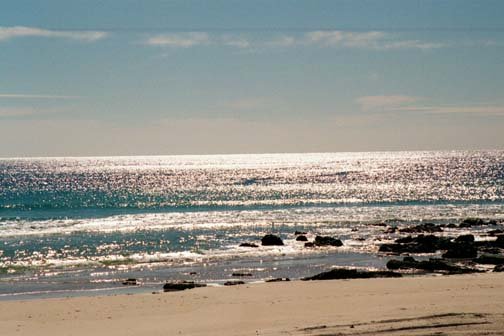 AUS QLD SnapperRocks 2001JUL20 003
