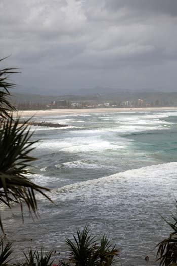 AUS QLD SnapperRocks 2011JAN15 003